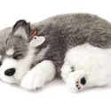 Perro decorativo Minipetzzz Alaska Husky 15 cm