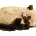 Gato decorativo Minipetzzz Tan Siamese Tabby 20 cm